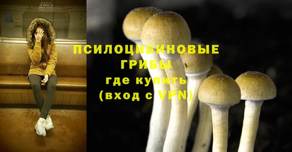 стафф Абаза