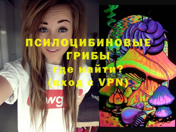МДПВ Абинск
