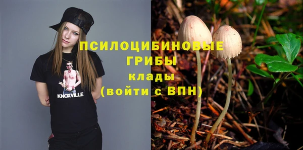 МДПВ Абинск