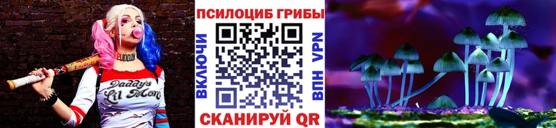 Псилоцибиновые грибы Psilocybe  Североморск 