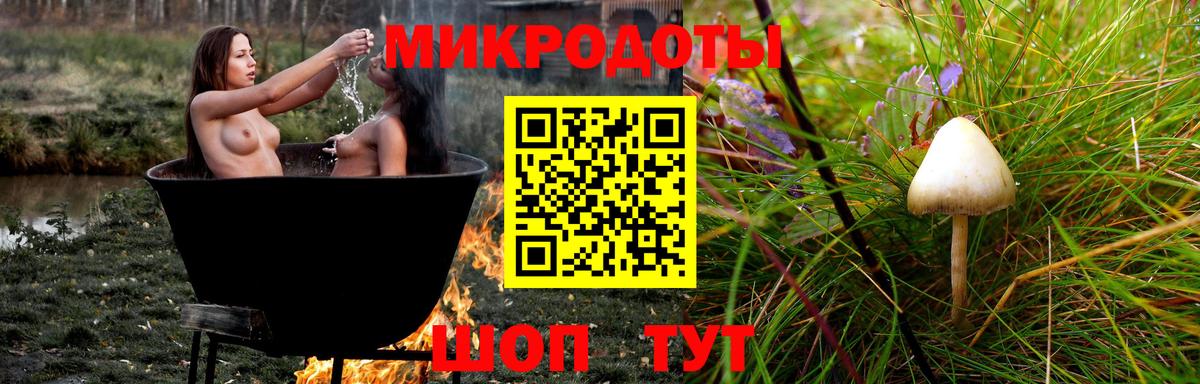 Псилоцибиновые грибы Magic Shrooms Североморск